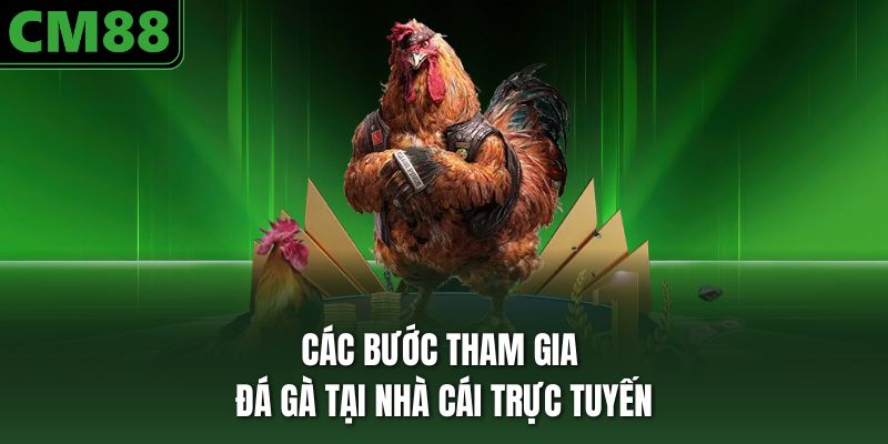 Các bước tham gia đá gà tại nhà cái trực tuyến